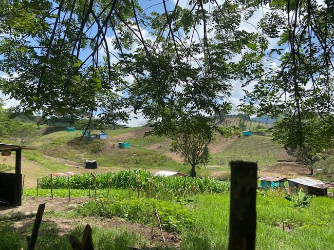 Foto: Predio Miralindo, La Virginia - Caracol Radio