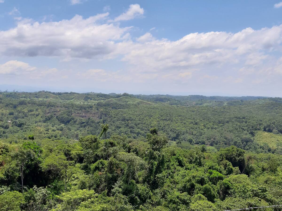 Reportan el desplazamiento de campesinos de zona rural de Cáceres