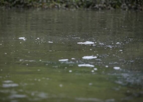 Ríos / Caracol Radio