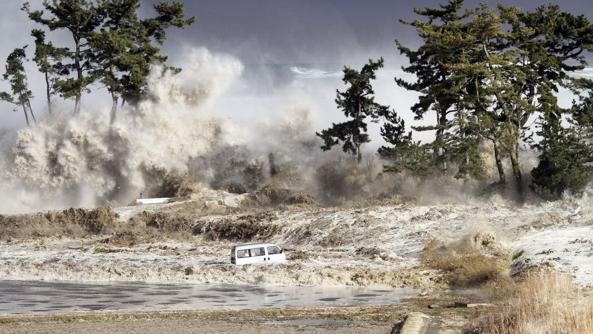 ¿Colombia está preparada para un tsunami? Experta explicó fallas en alertas de entidades