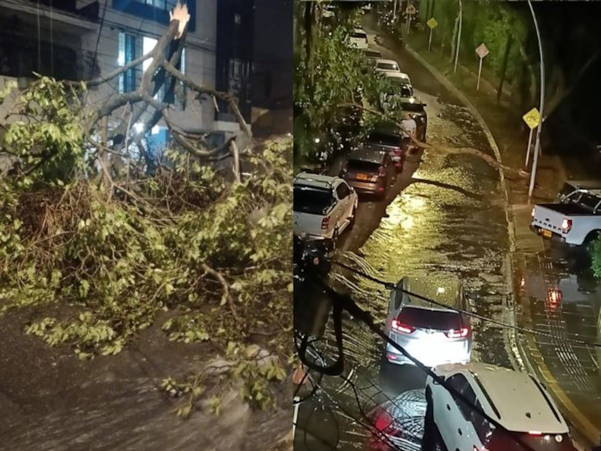 ATENCIÓN | Primer balance de las lluvias en Bucaramanga: árboles, vías, postes y viviendas afectadas