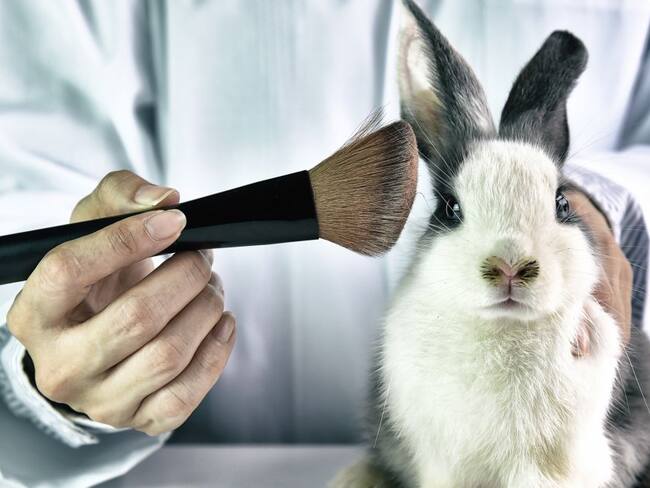 Prohibición del testeo animal está a un debate de convertirse en ley