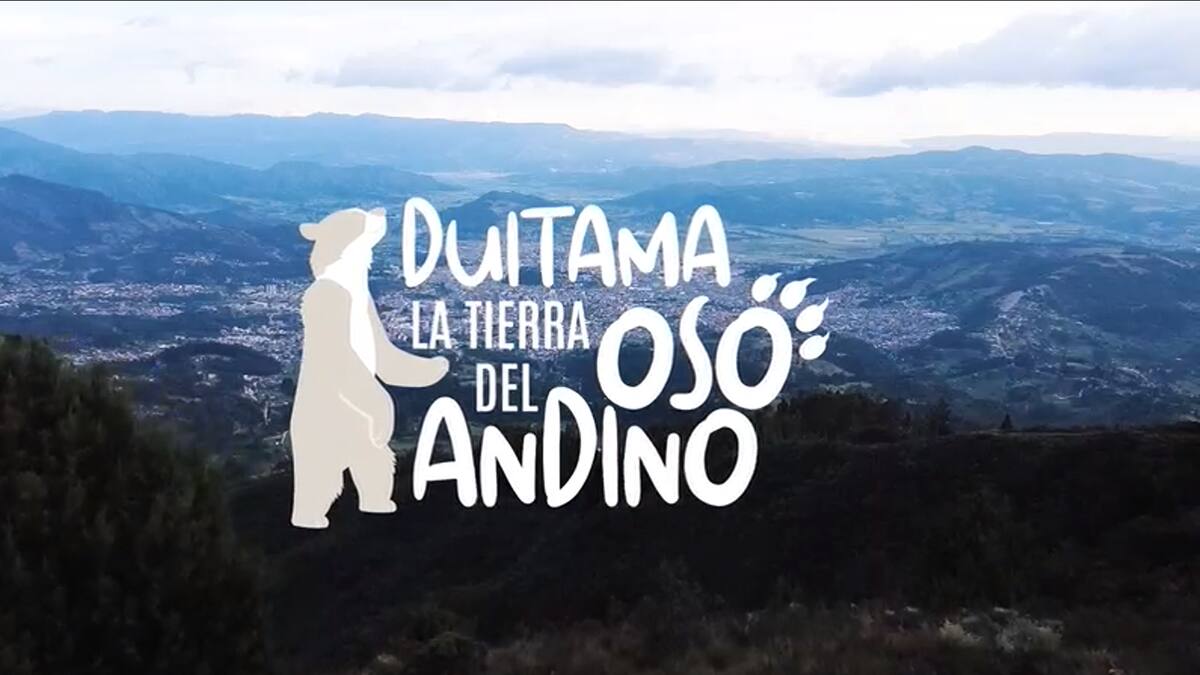 Duitama, tierra del oso andino: la marca para atraer turistas a la ciudad en diciembre