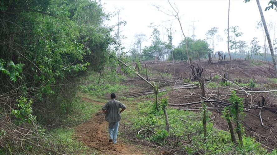 URT aseguró que reparación de víctimas de las Farc debe darse con devolución de tierras. Foto: Colprensa