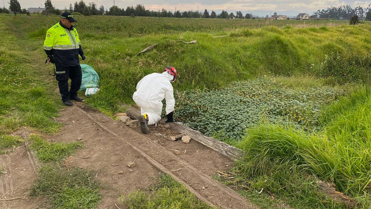 Terror en Cundinamarca: Encuentran tres cuerpos sin vida en zona rural de Mosquera