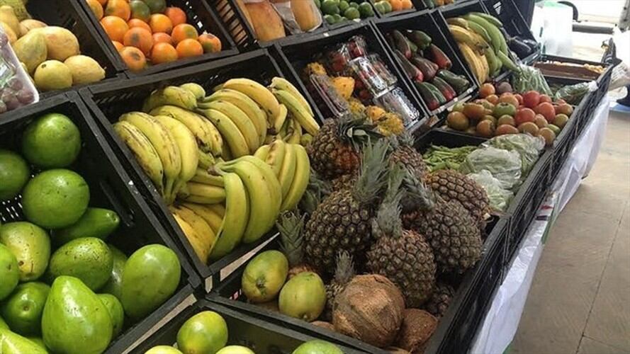 Santos anunció que la SIC investiga un 'cartel de las frutas' en Bogotá. Foto: Colprensa