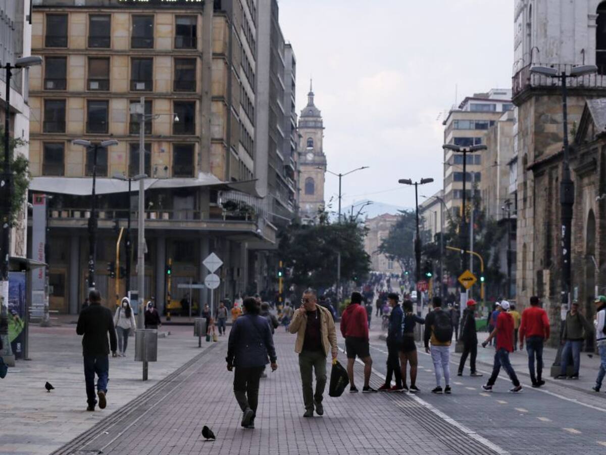 Distrito presentó el diseño conceptual del corredor verde de la Séptima