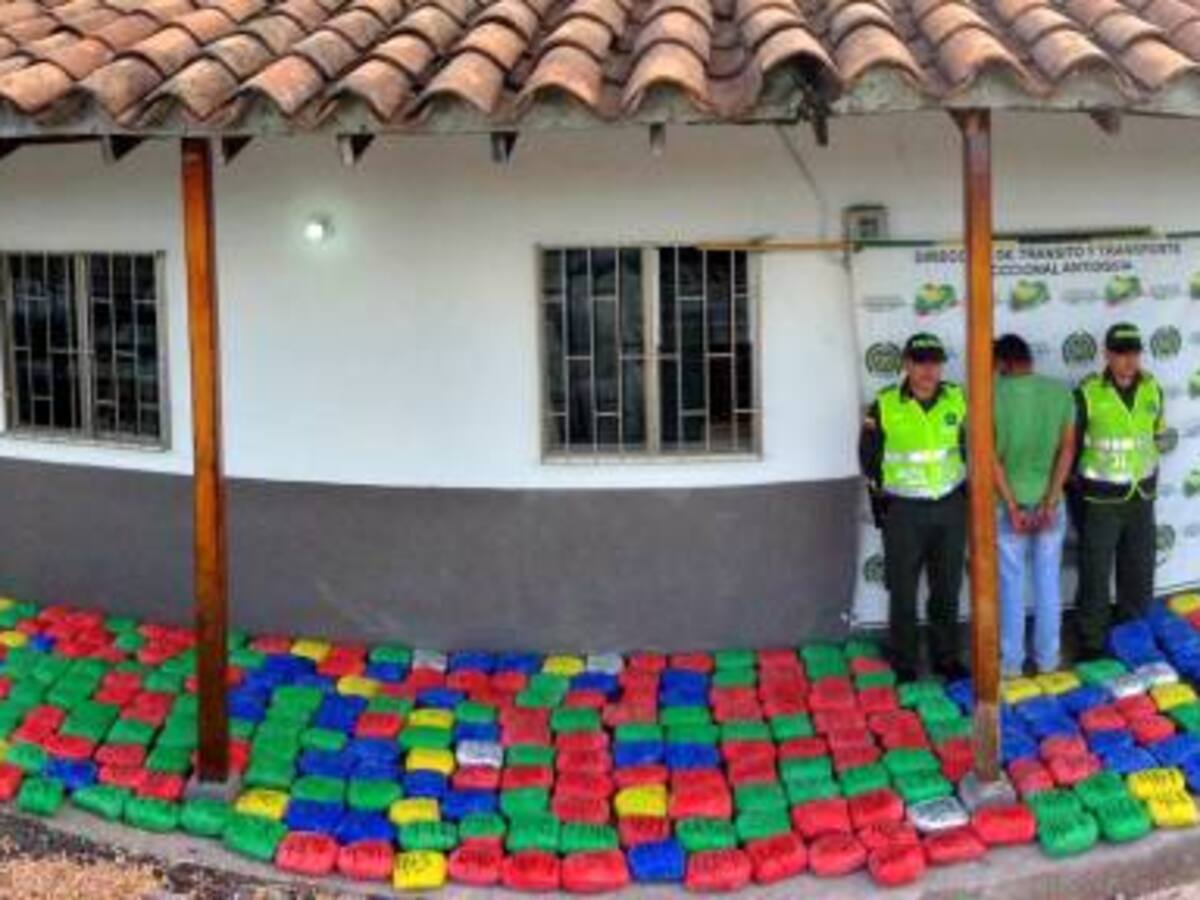 Decomisan 250 kilos de marihuana en Santa Bárbara, Antioquia