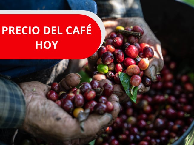 Imagen de referencia, Foto Getty images y Canva