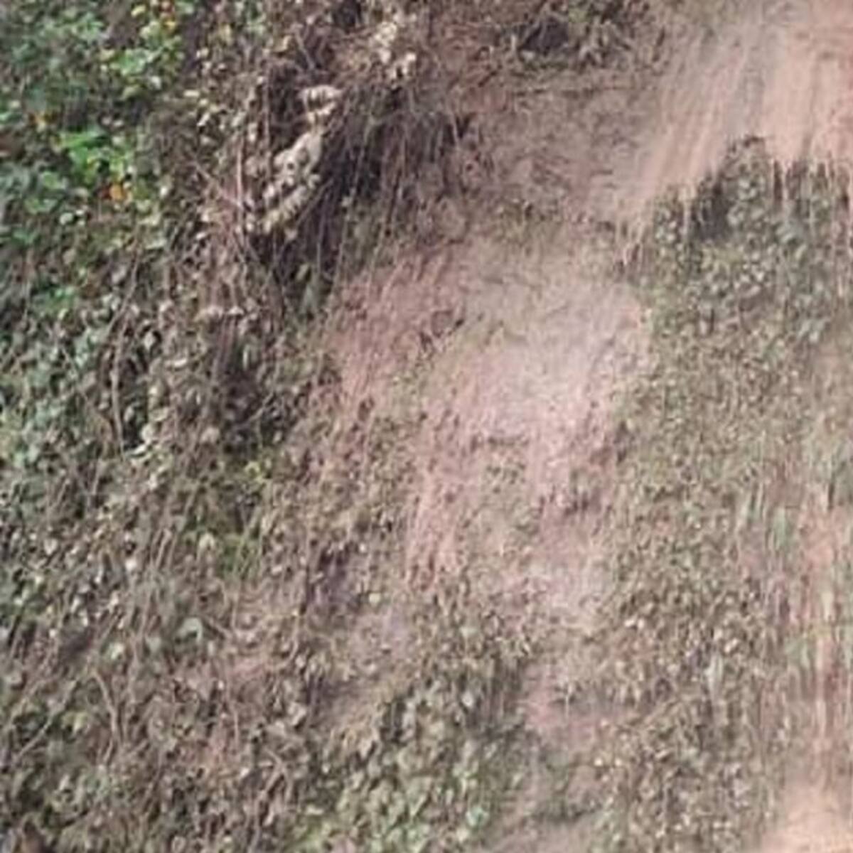 Monitorean la vía Manizales - Neira, por posible deslizamiento de tierra