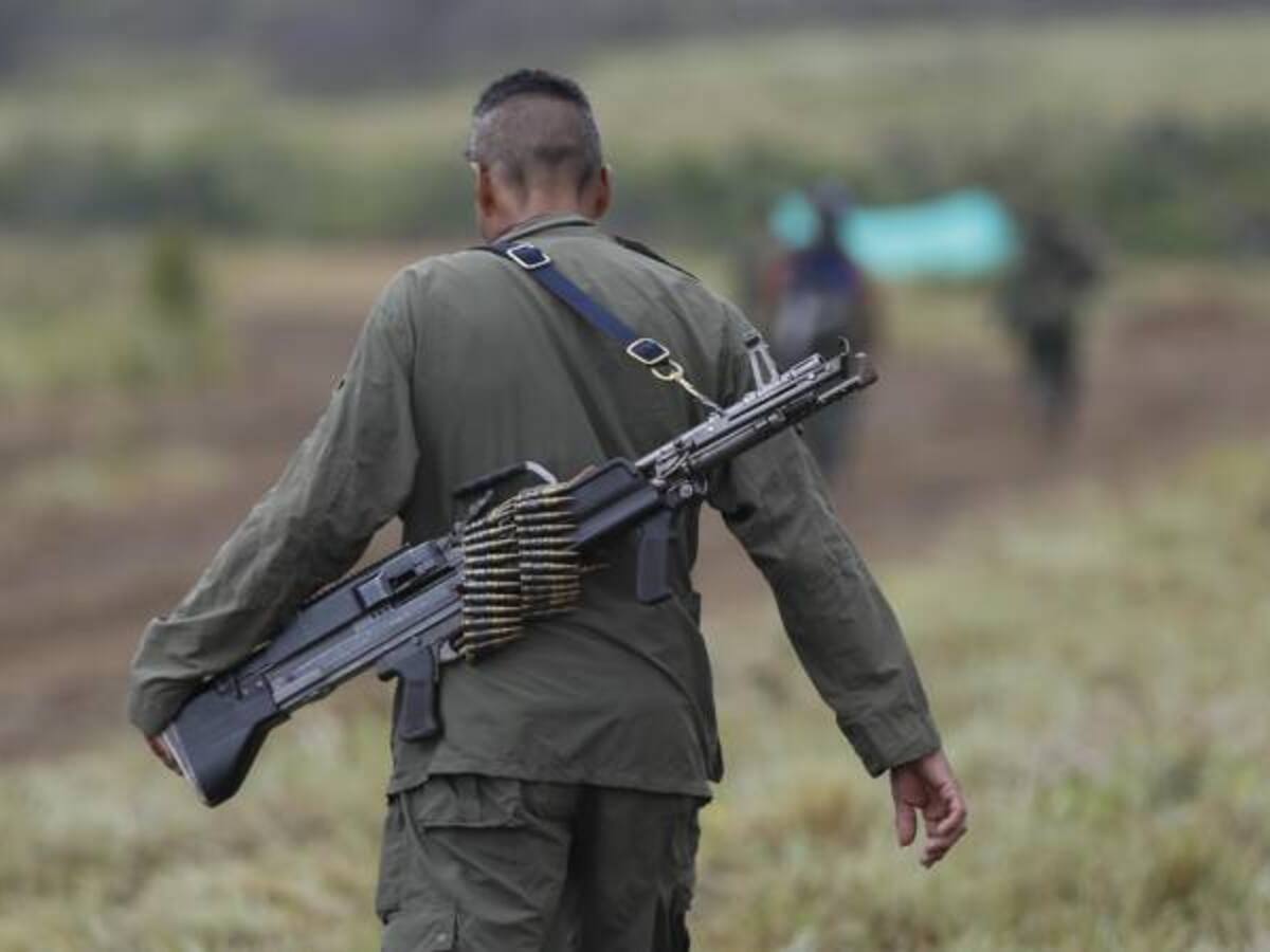 ¿Cómo se asegurará de que sí han entregado las armas las Farc?