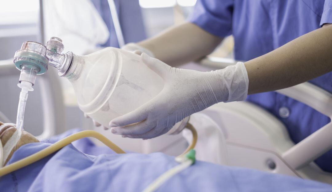 Imagen de referencia