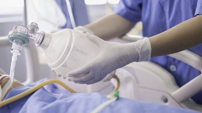 Imagen de referencia