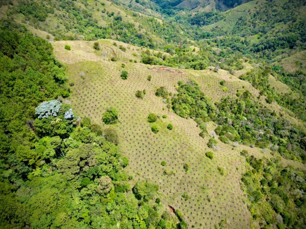 Montañas antioqueñas. Foto: Cortesía de la Gobernación