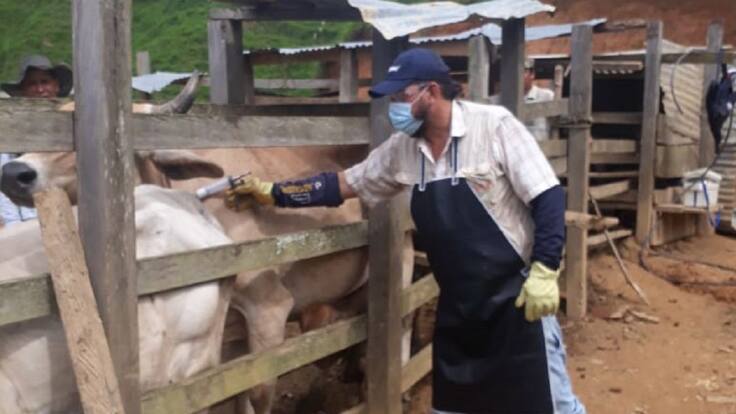 Juan Sebastián Puerta Mejía, profesional regional de desarrollo ganadero de Fedegan