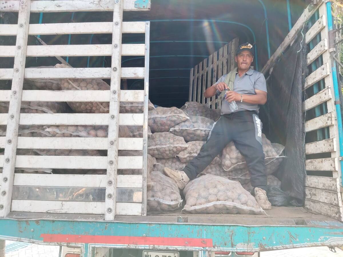 En crisis económica se encuentran los productores de papa del municipio de Murillo, Tolima