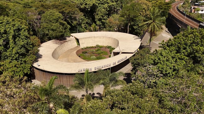 Jardín Botánico de Medellín. Foto: Alcaldía de Medellín.