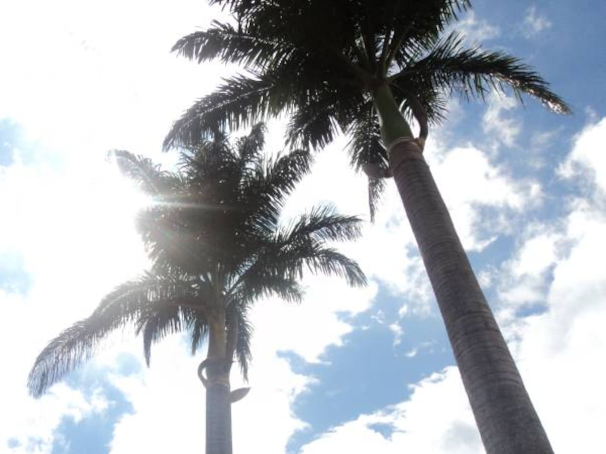 Noticias más importantes de Armenia y Quindío, jueves 27 de octubre