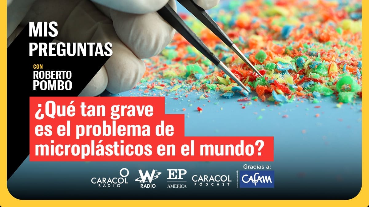 ¿Qué tan grave es el problema de microplásticos en el mundo?