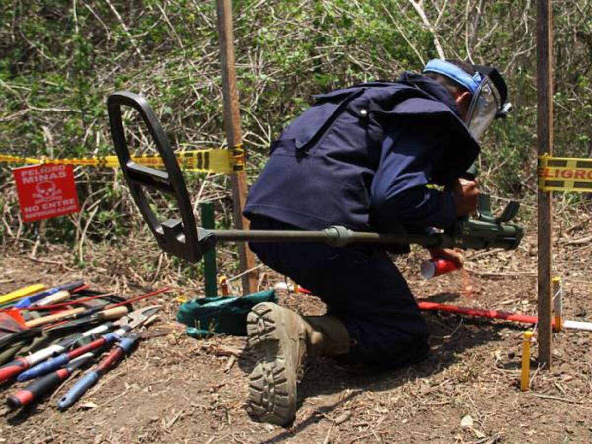 Desminado humanitario sí ha bajado número de víctimas en Colombia