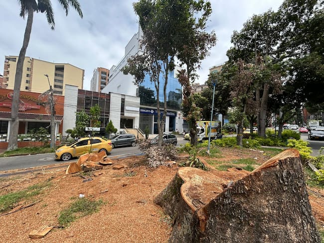 Marcela Gaviria, residente del sector de Sotomayor