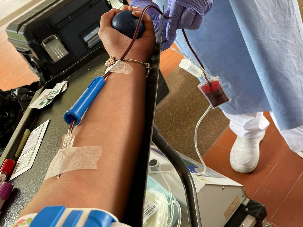 En Risaralda se requiere con urgencia donantes de sangre