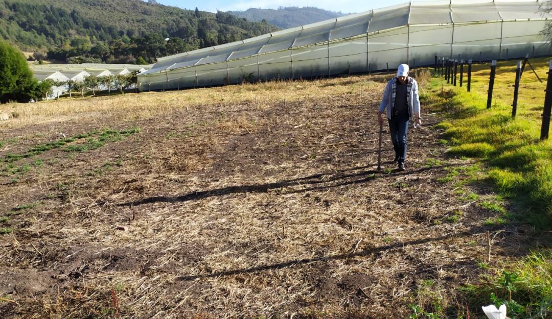 Cuidados de la tierra