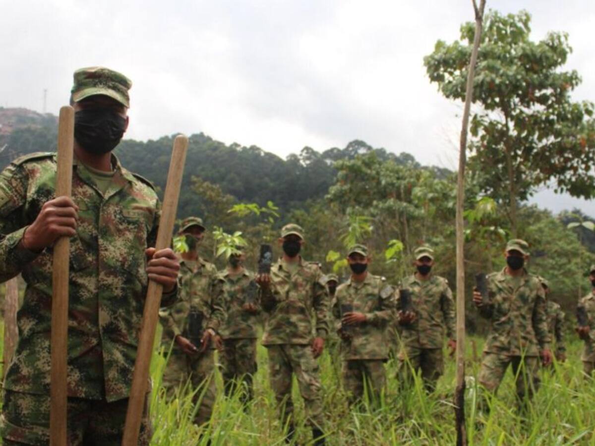 En Medellín el Ejército ha recuperado 19 hectáreas de bosque
