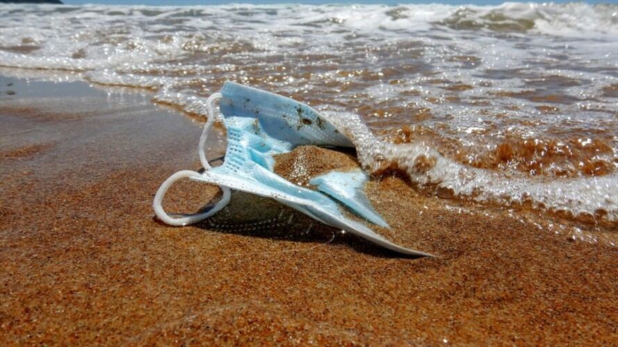 Solo el 3% de los océanos se encuentra protegido. Foto: Getty Images