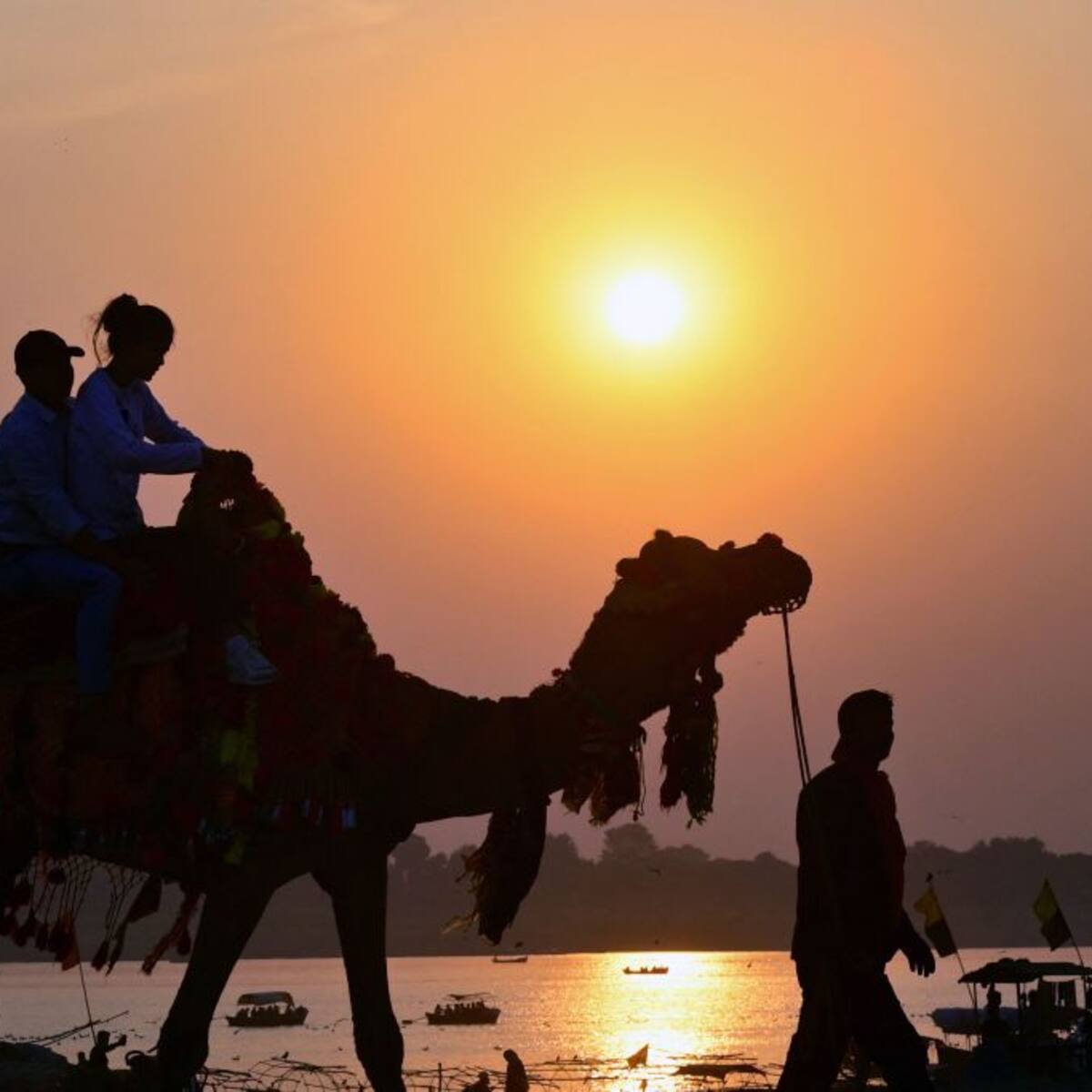 Así son las carreras de camellos, el deporte favorito del anfitrión de Qatar 2022