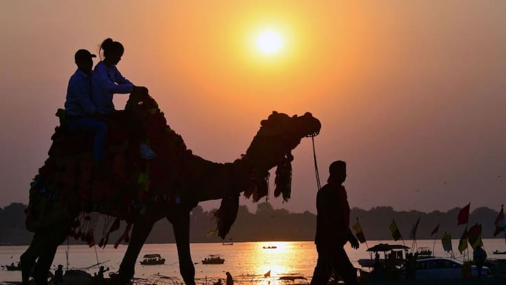 Así son las carreras de camellos en Qatar, el deporte favorito de los anfitriones