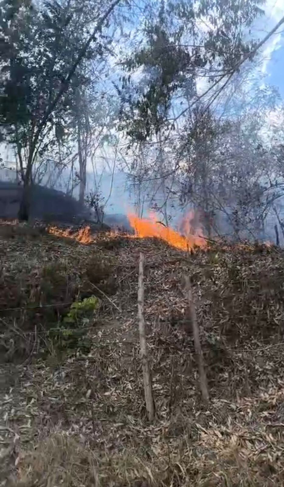Incendio forestal en Viotá, Cundinamarca: Bomberos atienden la emergencia. Foto: Bomberos de Cundinamarca.