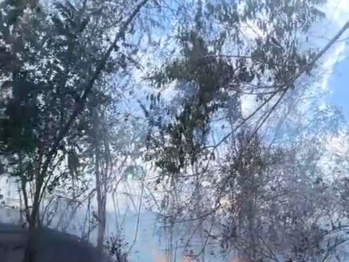 Incendio forestal en Viotá, Cundinamarca: Bomberos atienden la emergencia