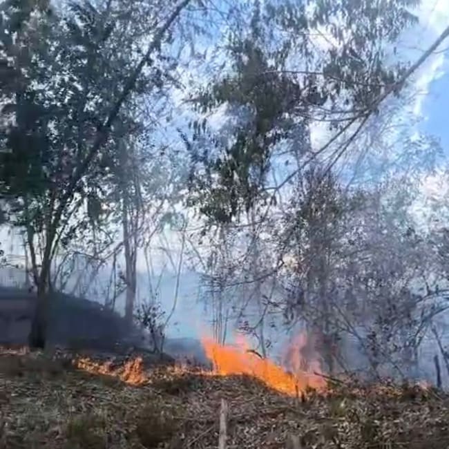 Incendio forestal en Viotá, Cundinamarca: Bomberos atienden la emergencia. Foto: Bomberos de Cundinamarca.