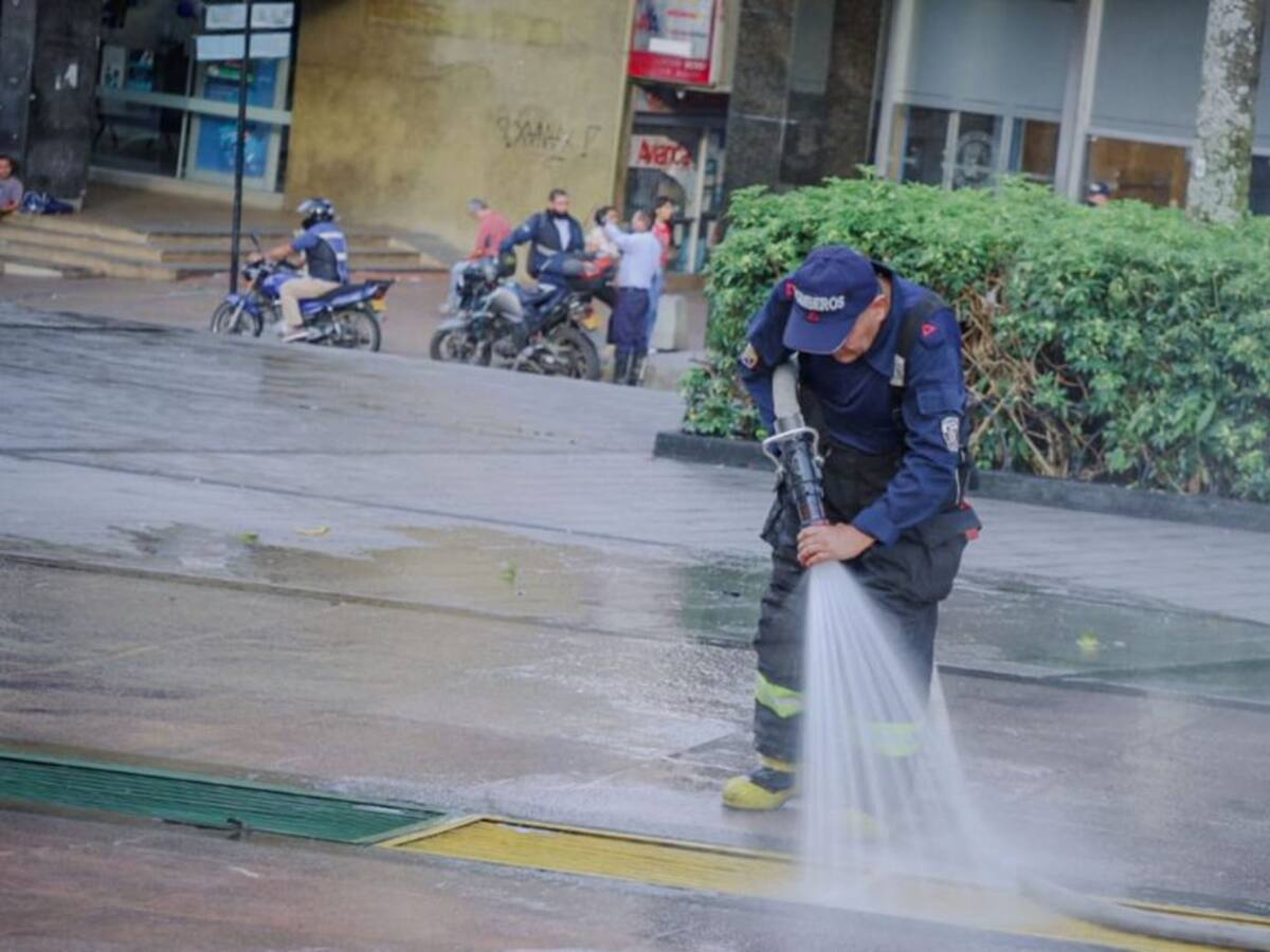 Lavaron el parque Murillo Toro de Ibagué por presencia de ratas