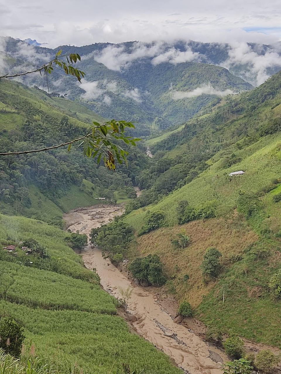 Foto: Gobernación de Risaralda