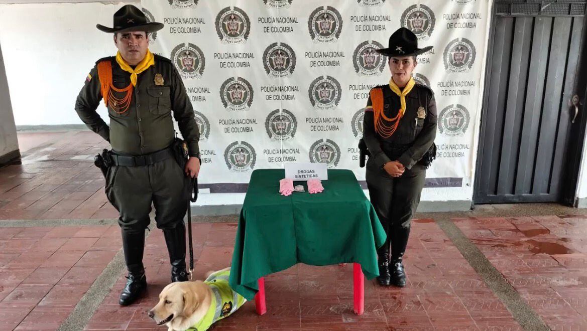 El olfato de ‘Tomy’ frustró envío de 500 pastillas de metanfetamina a Girardot