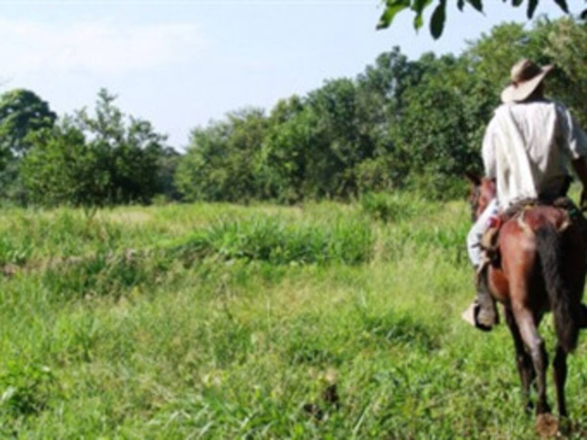 Ordenan primera restitución de tierras a afectados por bandas criminales