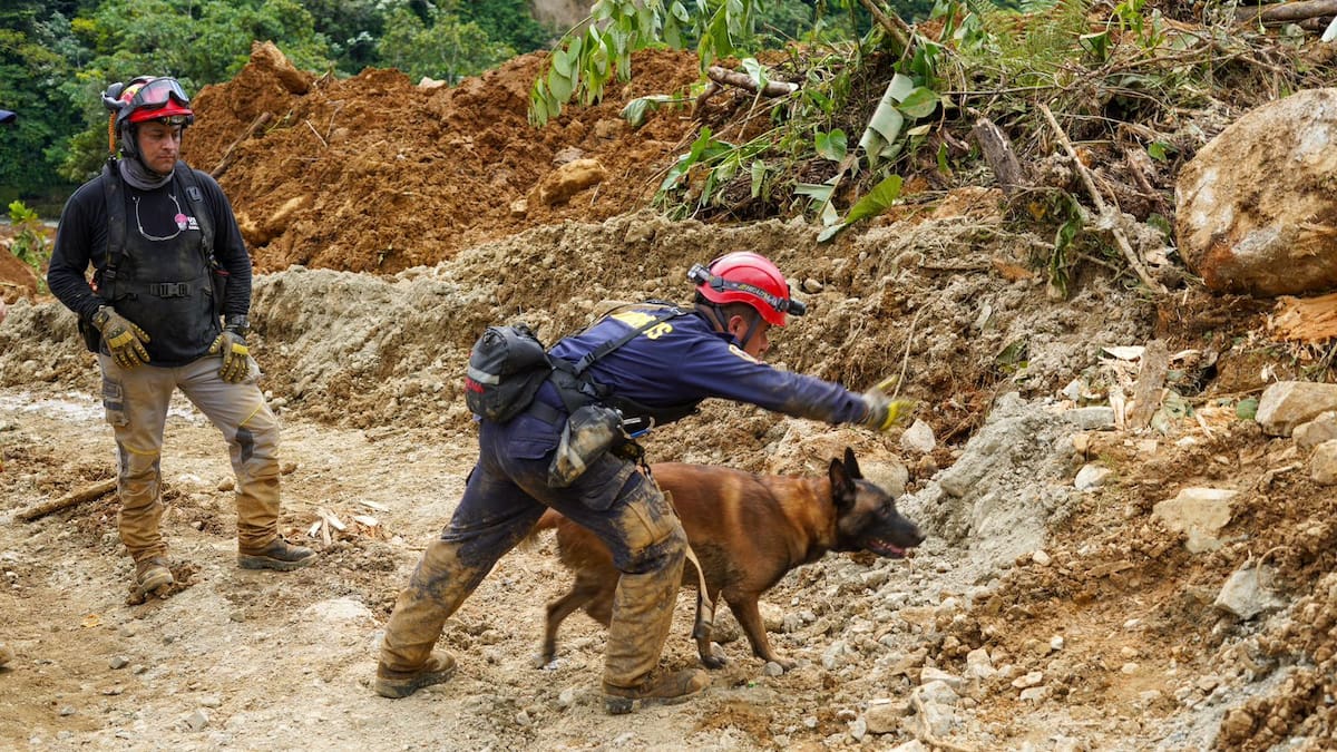 Los cuerpos rescatados en el derrumbe serán trasladados de Medellín a Quibdó