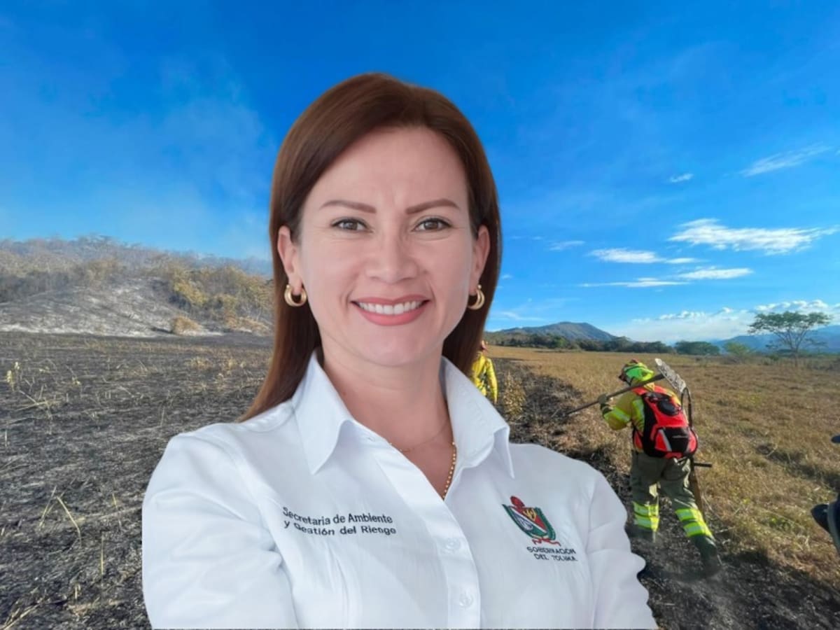 Zonas de incendios en Tolima serán militarizadas: conflagraciones son provocadas, según autoridades