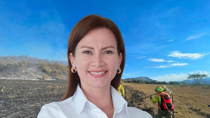Zonas de incendios en Tolima serán militarizadas: conflagraciones son provocadas, según autoridades