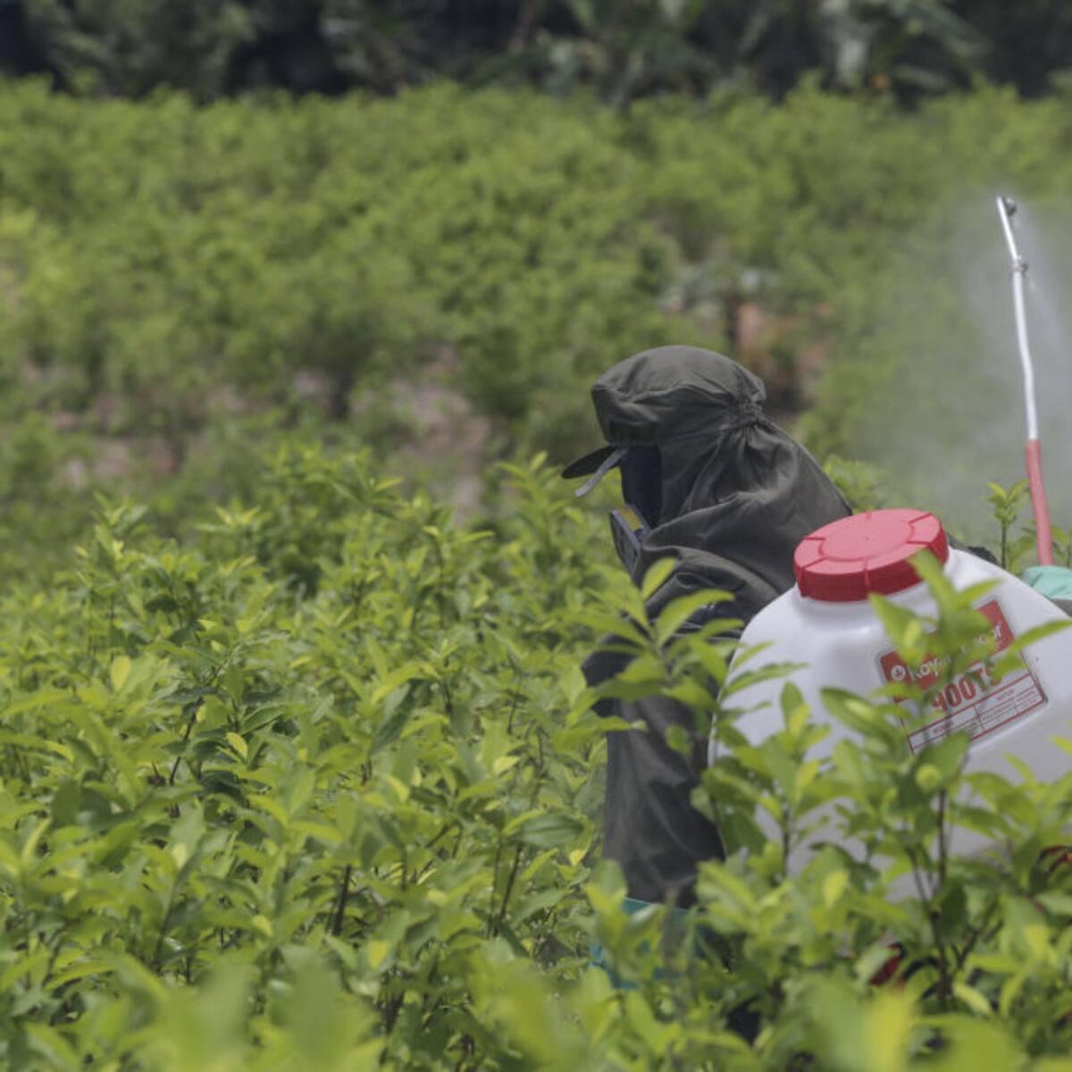 “Fue una decisión anunciada”: Mike Fitzpatrick sobre descertificación de EE.UU. a Colombia