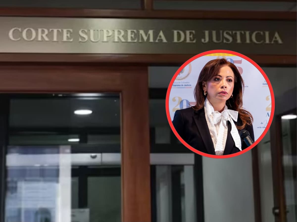 Paula Andrea Ramírez Barbosa: la tolimense que llega a la Corte Suprema de Justicia