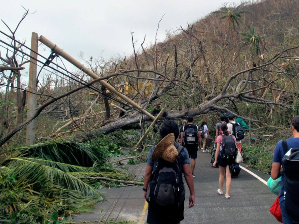 Activarán plan de reforestación en Providencia