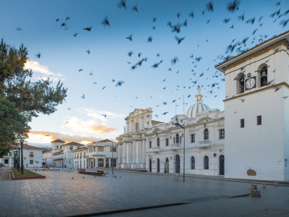 La sorprendente historia detrás del color blanco de Popayán: la respuesta a una epidemia