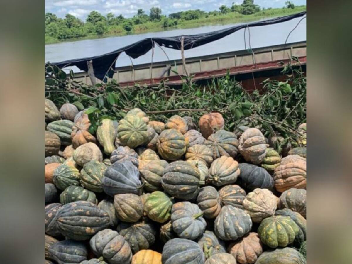 Esa ahuyama no se perdió