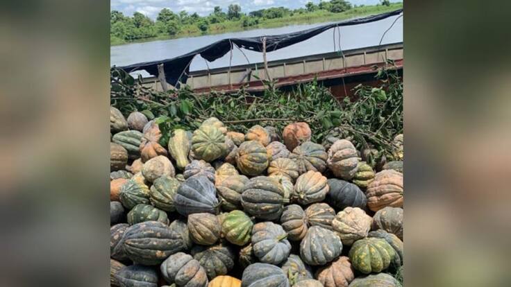 Esa ahuyama no se perdió