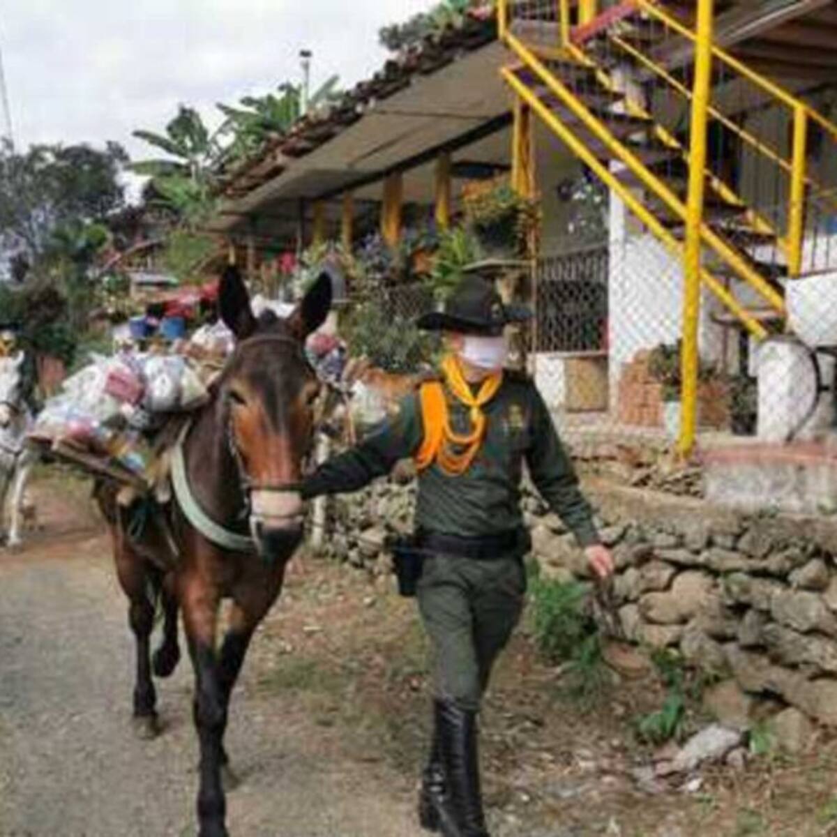 Ayudas alimentarias llegan hasta las zonas más apartadas de Risaralda