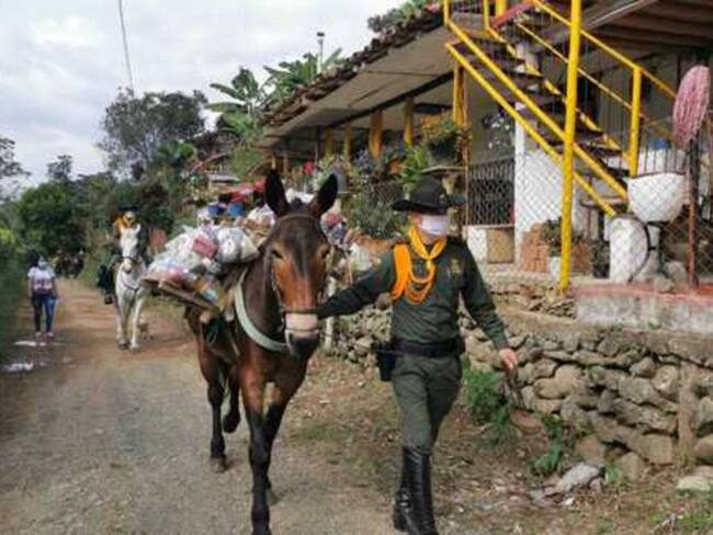 Ayudas alimentarias llegan hasta las zonas más apartadas de Risaralda