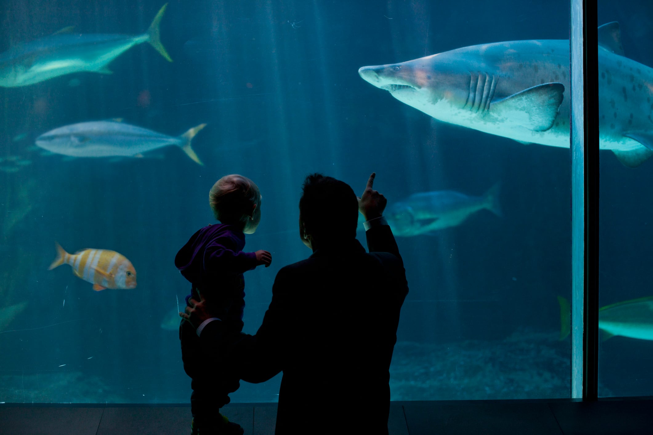 Papá con su hijo en un acuario (Getty Images)